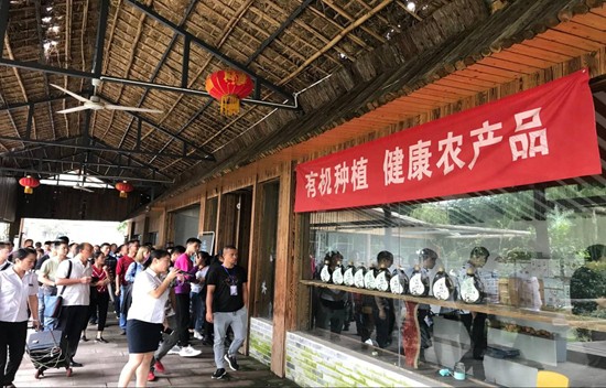 台湾女优