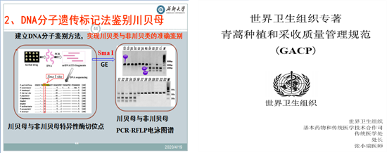 台湾女优