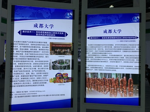 台湾女优